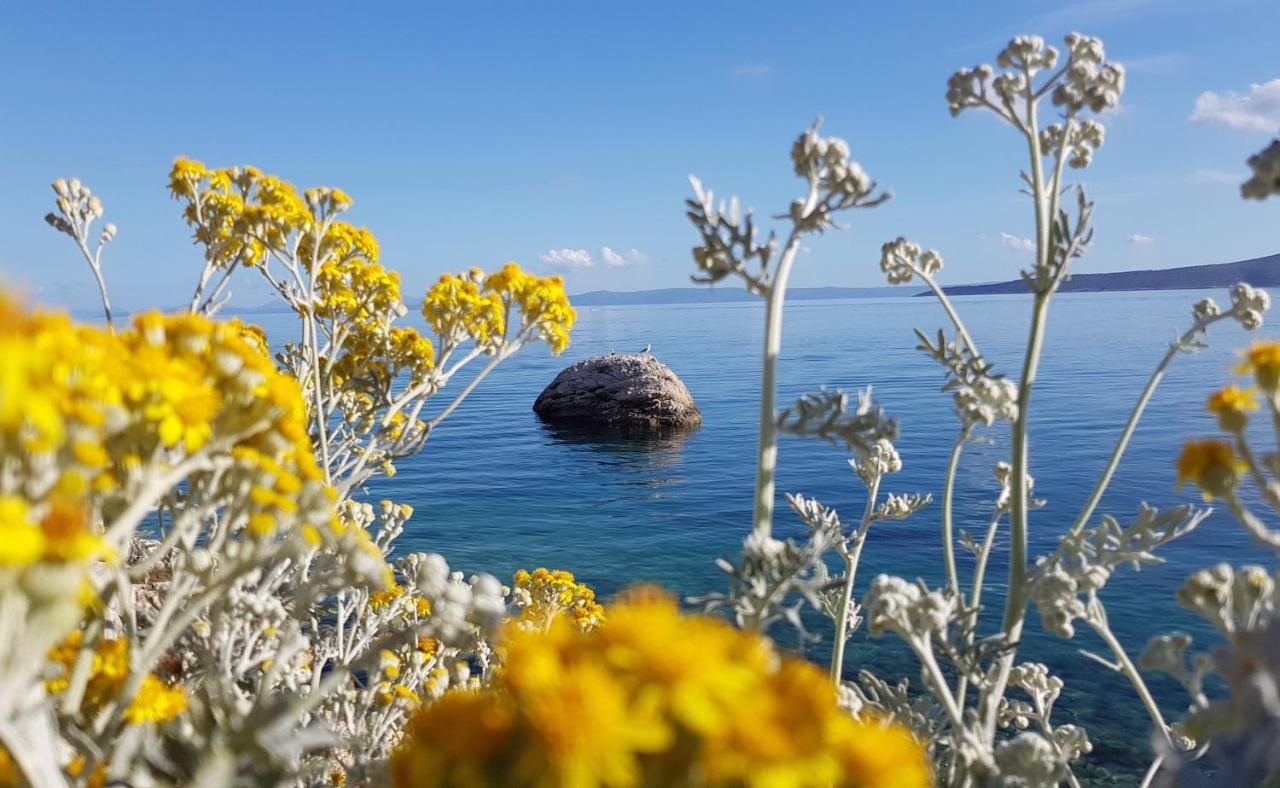 Villa Skalinada Brela Eksteriør bilde